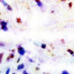 校花用🐻揉我🐤🐤
